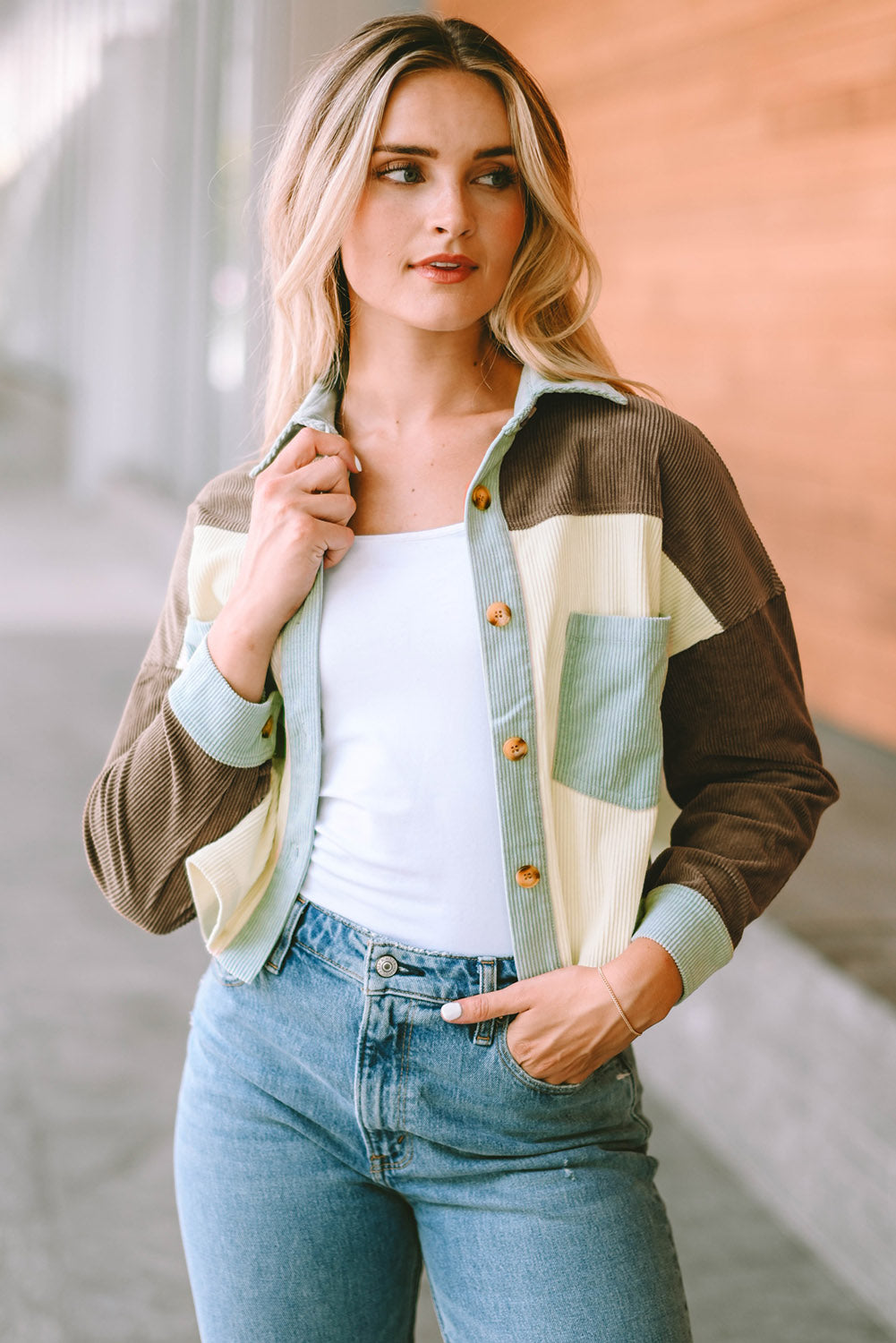 Color Block Collared Neck Jacket